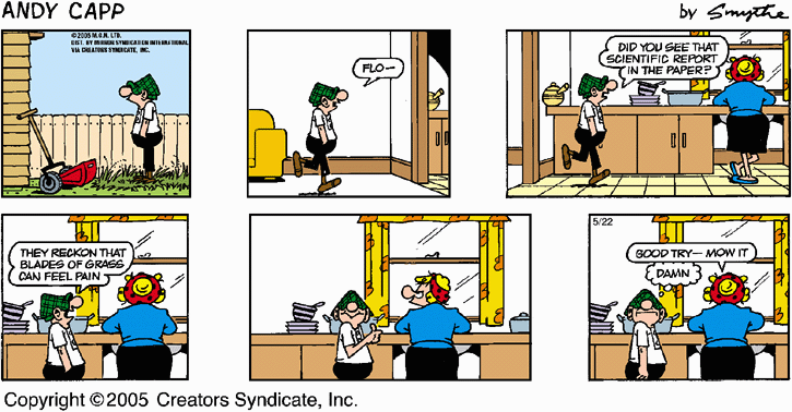 andycapp